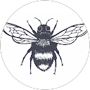 Rachel Carter profile picture