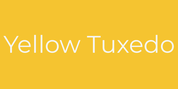 Yellow Tuxedo Digital Visibility Specialists - Workshops group online zoom training NLP mental health fitness