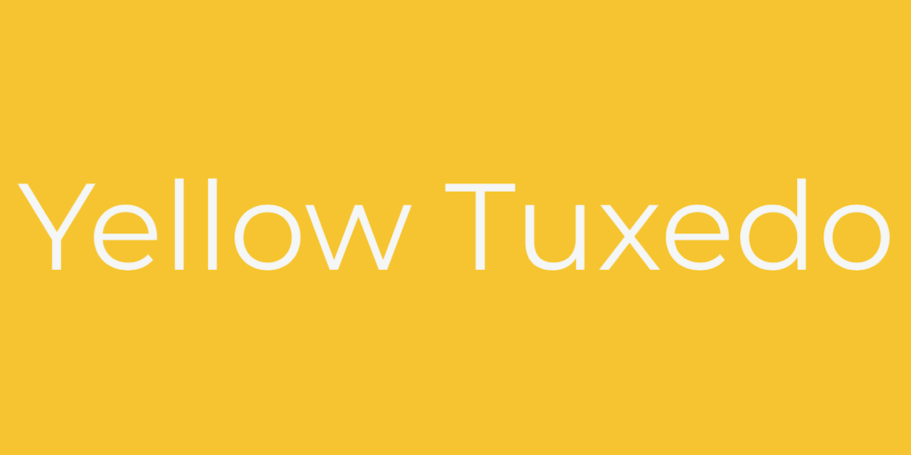 Yellow Tuxedo Digital Visibility Specialists - Workshops group online zoom training NLP mental health fitness