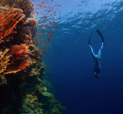 Freediving breathwork south of england