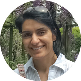 Raman Mudhar - Online Zoom nlp practitioner course video call course UK